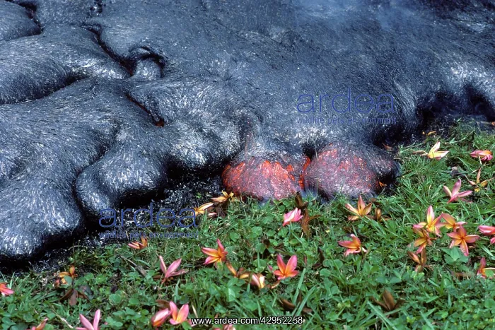 : USA - Hawaii - Big Island - Eruption of the Pu'u : USA - Hawaii - Big Island - Eruption of the Pu'u