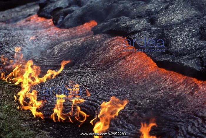: USA - Hawaii - Big Island - Eruption of the Pu'u : USA - Hawaii - Big Island - Eruption of the Pu'u