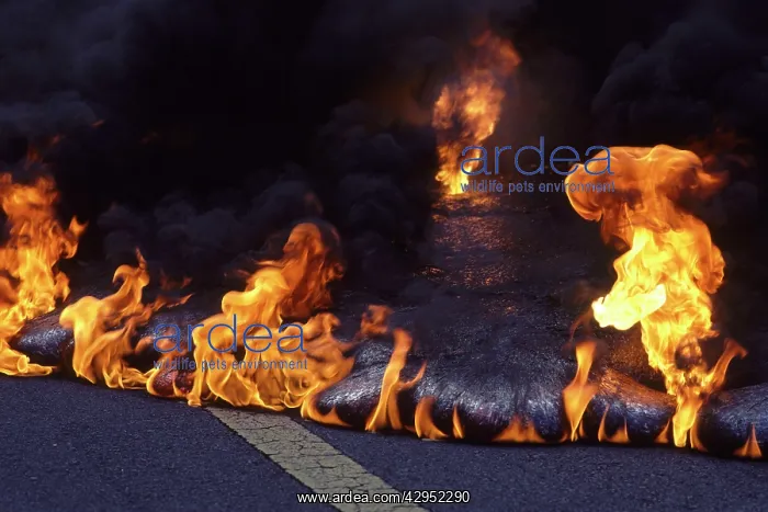 : USA - Hawaii - Big Island - Eruption of the Pu'u : USA - Hawaii - Big Island - Eruption of the Pu'u