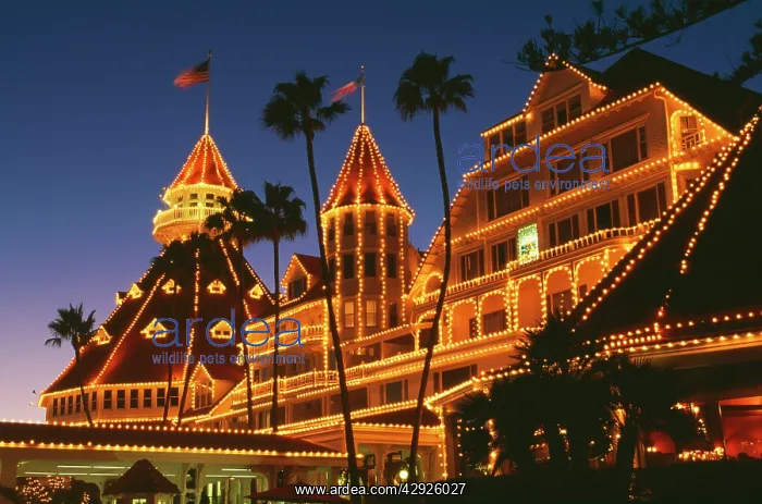 : USA - Hotel del Coronado, with December lights : USA - Hotel del Coronado, with December lights