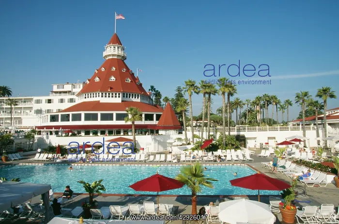  : USA - Hotel del Coronado, San Diego, California