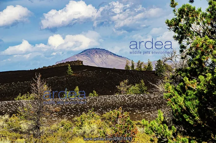 : USA, Idaho, Arco. Craters of the Moon National Monument and : USA, Idaho, Arco. Craters of the Moon National Monument and