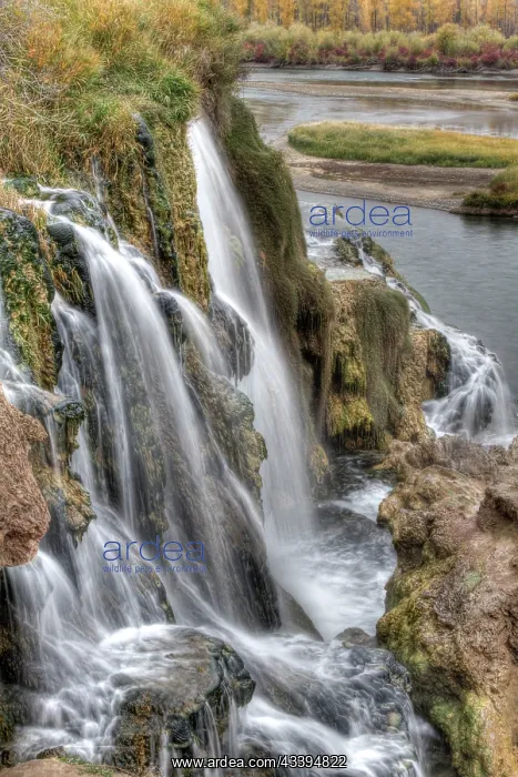 : USA, Idaho. Fall Creek Falls Snake River, in Fall : USA, Idaho. Fall Creek Falls Snake River, in Fall