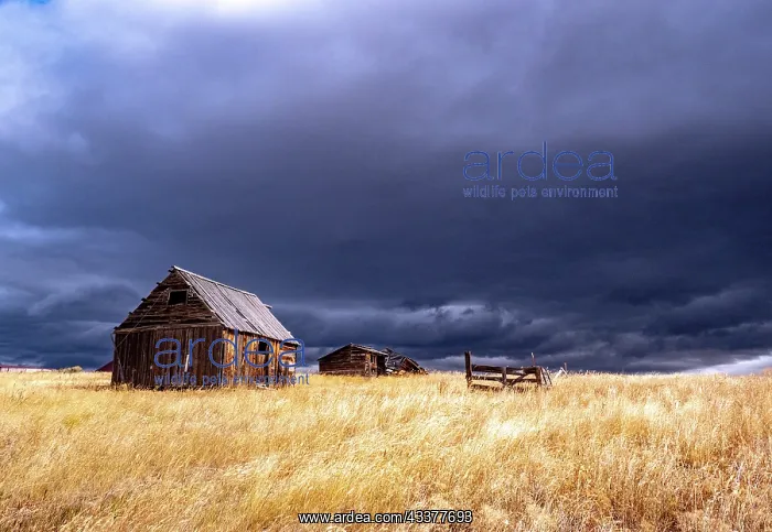 : USA, Idaho, Highway 36, Liberty storm passing over : USA, Idaho, Highway 36, Liberty storm passing over