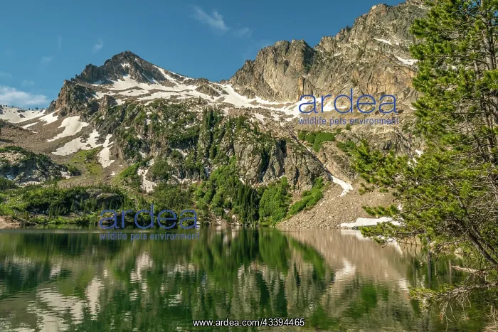  : USA, Idaho, Sawtooth Wilderness. Mountain reflects