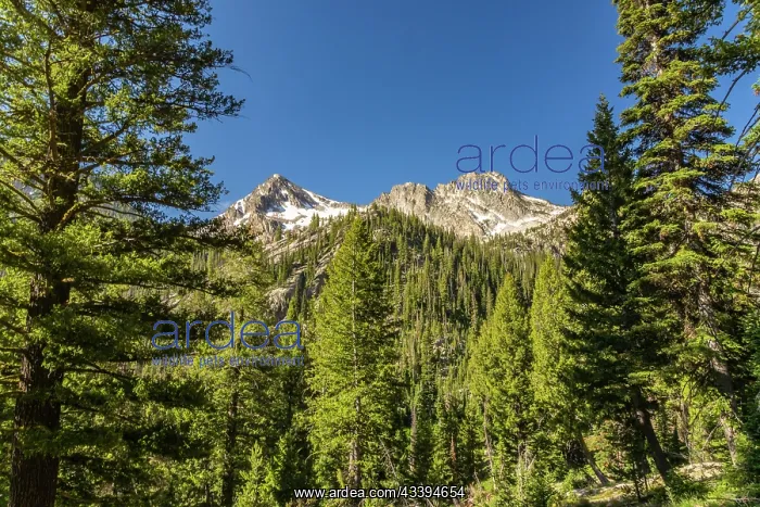 : USA, Idaho, Sawtooth Wilderness. Mountain and valley : USA, Idaho, Sawtooth Wilderness. Mountain and valley