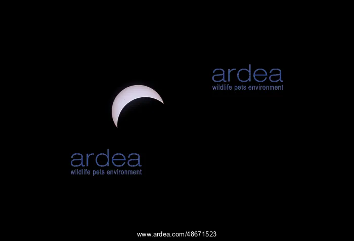 : USA, Indiana, Carmel. Partial solar eclipse. ic Wendy Kavene : USA, Indiana, Carmel. Partial solar eclipse. ic Wendy Kavene