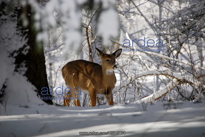 : USA, Indianapolis, Indiana, Eagle Creek City Park : USA, Indianapolis, Indiana, Eagle Creek City Park
