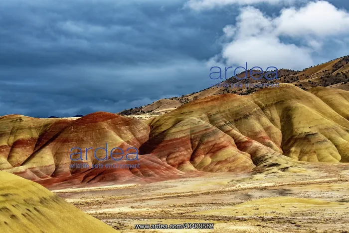 : USA, John Day Fossil Beds, Painted Hills Unit Overlook : USA, John Day Fossil Beds, Painted Hills Unit Overlook