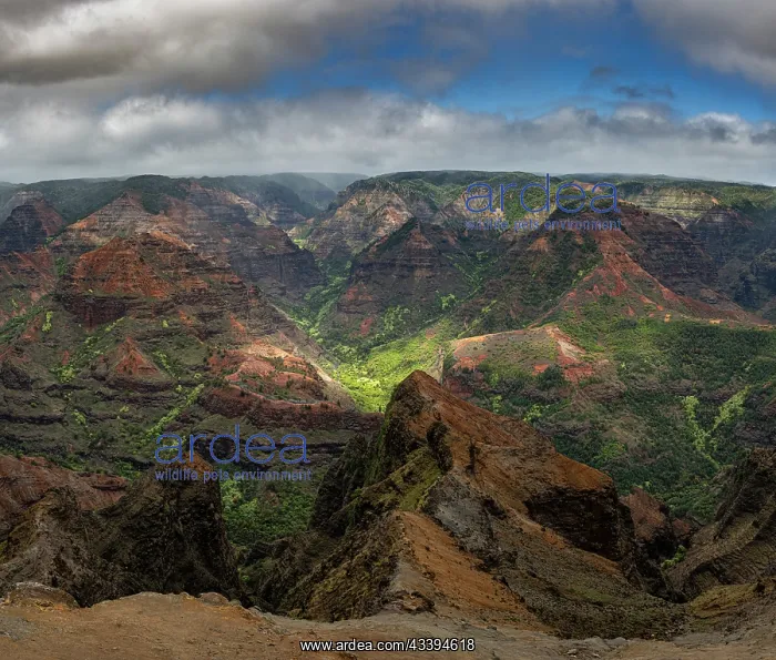 : USA, Kauai, Hawaii. Colorful gorge at Waimea Canyon : USA, Kauai, Hawaii. Colorful gorge at Waimea Canyon