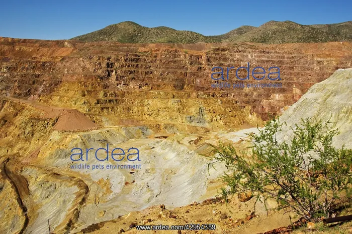 : USA - The Lavender Pit : USA - The Lavender Pit