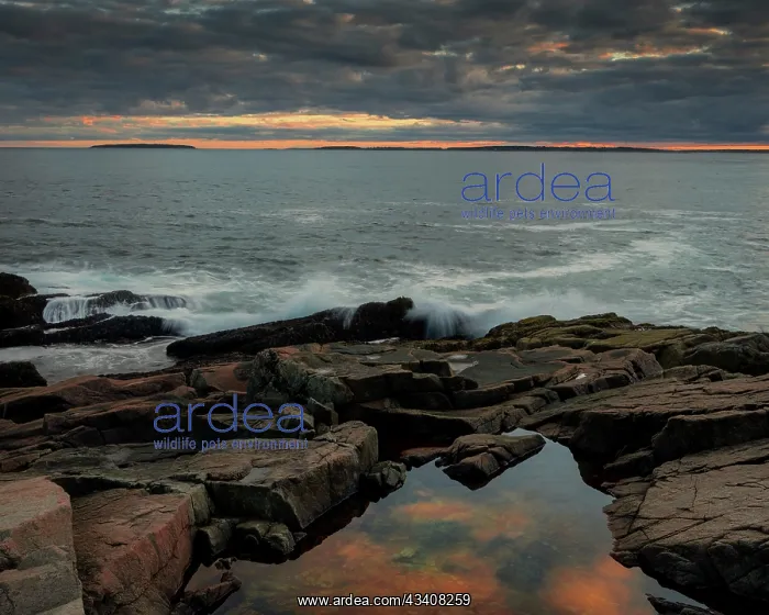 : USA, Maine, Acadia National Park. Moody sunset on : USA, Maine, Acadia National Park. Moody sunset on