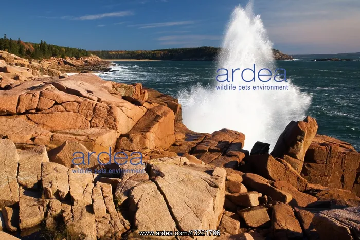 : USA, Maine, Acadia National Park, Waves : USA, Maine, Acadia National Park, Waves
