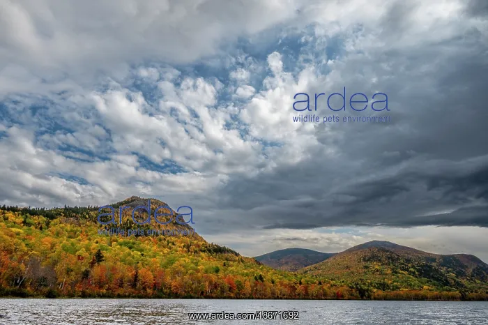 : USA, Maine. Fall foliage and view of lake, Baxter State Park : USA, Maine. Fall foliage and view of lake, Baxter State Park