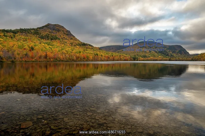 : USA, Maine. Fall foliage and view of South Branch Pond and : USA, Maine. Fall foliage and view of South Branch Pond and