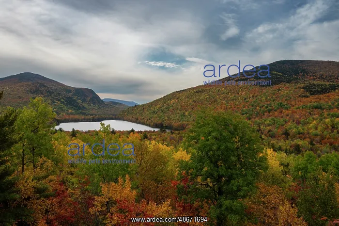 : USA, Maine. Fall foliage and view of South Branch Pond : USA, Maine. Fall foliage and view of South Branch Pond