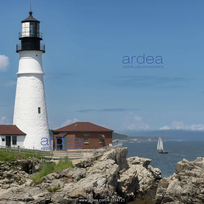 : USA, Maine, Portland. Portland Head Lighthouse : USA, Maine, Portland. Portland Head Lighthouse
