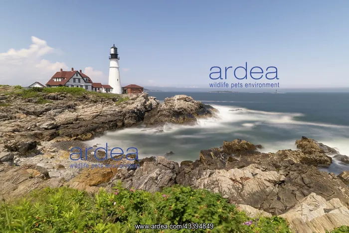 : USA, Maine, Portland. Portland Head Lighthouse : USA, Maine, Portland. Portland Head Lighthouse