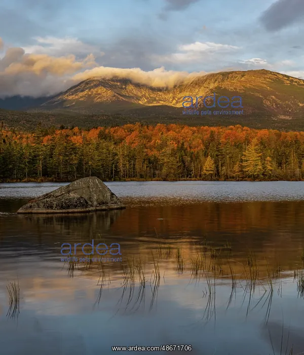 : USA, Maine. View of Mount Katahdin in morning from Sandy : USA, Maine. View of Mount Katahdin in morning from Sandy