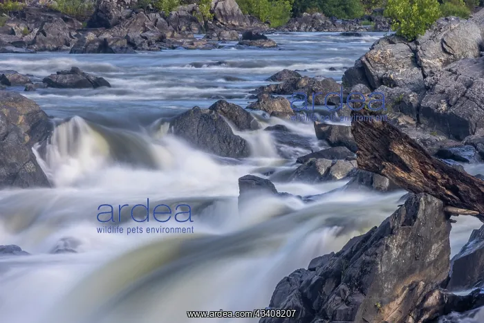: Usa, Maryland. Great Falls Overlook, Potomac River : Usa, Maryland. Great Falls Overlook, Potomac River