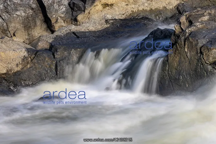 : Usa, Maryland. Great Falls Overlook, Potomac River : Usa, Maryland. Great Falls Overlook, Potomac River