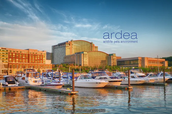 : USA, Maryland, Prince Georges County. Sunset : USA, Maryland, Prince Georges County. Sunset