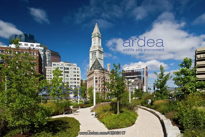 : USA, Massachusetts, Boston. Atlantic Avenue : USA, Massachusetts, Boston. Atlantic Avenue