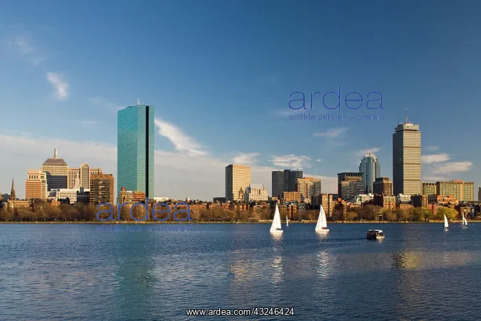 : USA, Massachusetts, Boston. Back Bay, sunset : USA, Massachusetts, Boston. Back Bay, sunset