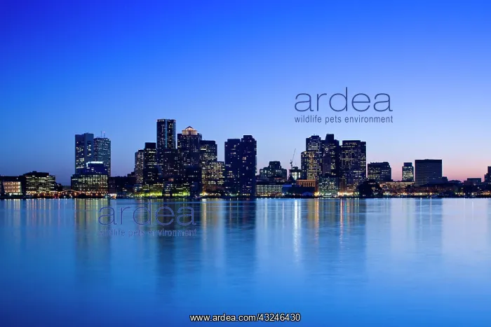  : USA, Massachusetts, Boston. Financial District