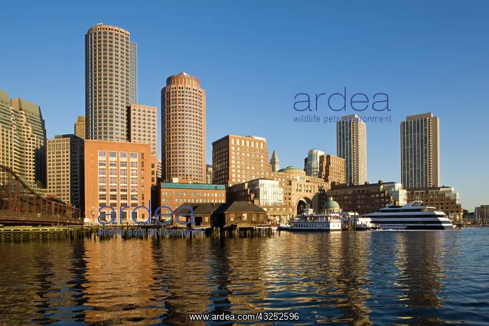 : USA, Massachusetts, Boston. Rowe's Wharf : USA, Massachusetts, Boston. Rowe's Wharf