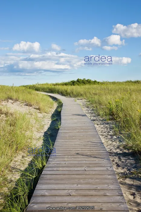 : USA, Massachusetts, Cape Ann, Gloucester : USA, Massachusetts, Cape Ann, Gloucester