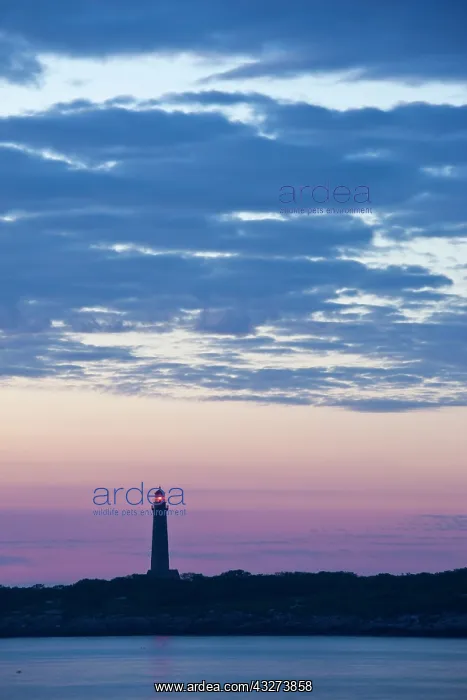 : USA, Massachusetts, Cape Ann, Rockport : USA, Massachusetts, Cape Ann, Rockport