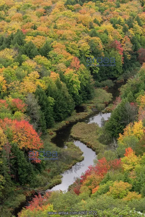 : USA, Michigan, Ottawa National Forest. Lake of the Clouds : USA, Michigan, Ottawa National Forest. Lake of the Clouds