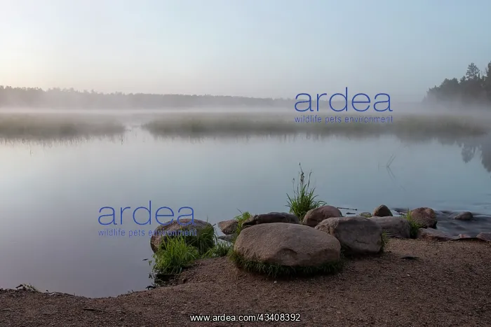 : USA, Minnesota, Itasca State Park, Mississippi Headwaters : USA, Minnesota, Itasca State Park, Mississippi Headwaters