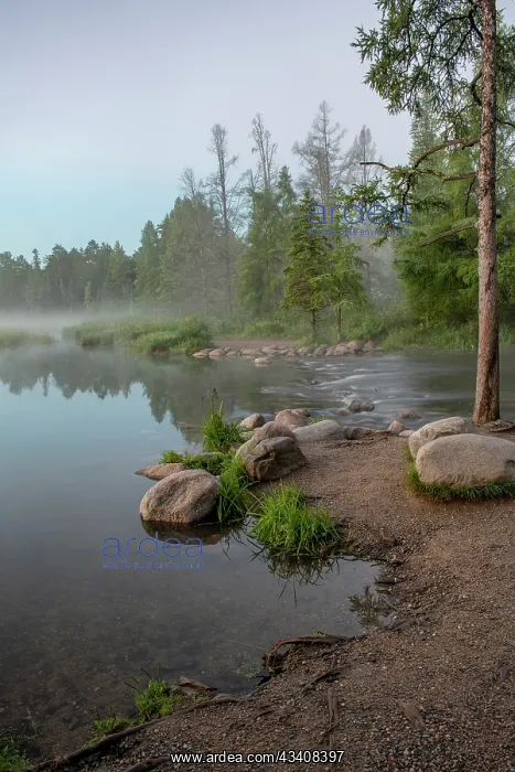 : USA, Minnesota, Itasca State Park, Mississippi Headwaters : USA, Minnesota, Itasca State Park, Mississippi Headwaters