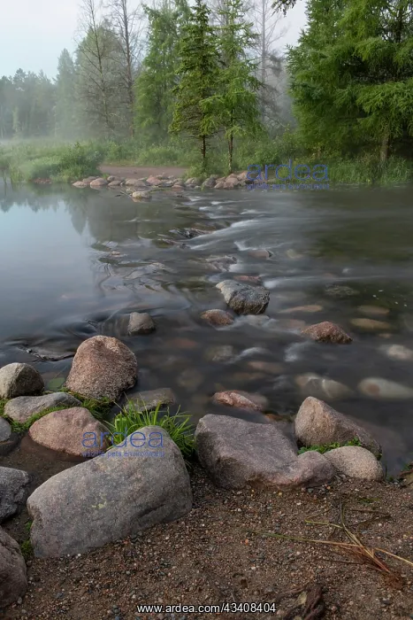 : USA, Minnesota, Itasca State Park, Mississippi Headwaters : USA, Minnesota, Itasca State Park, Mississippi Headwaters