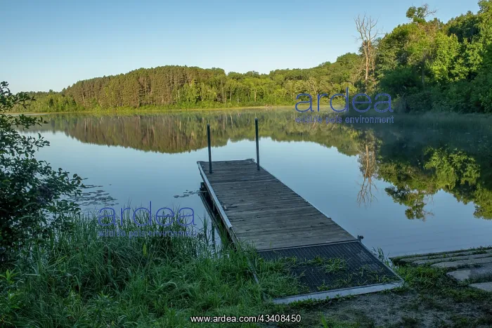 : USA, Minnesota, Itasca State Park, Ozawindib Boat Lunch : USA, Minnesota, Itasca State Park, Ozawindib Boat Lunch