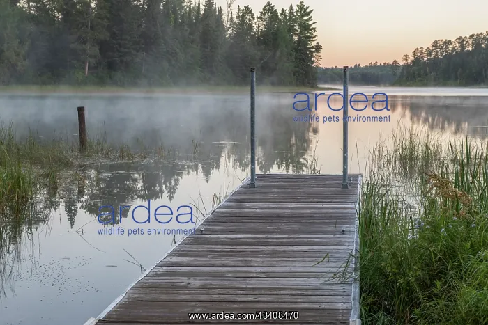 : USA, Minnesota, Itasca State Park, Lake Itasca : USA, Minnesota, Itasca State Park, Lake Itasca
