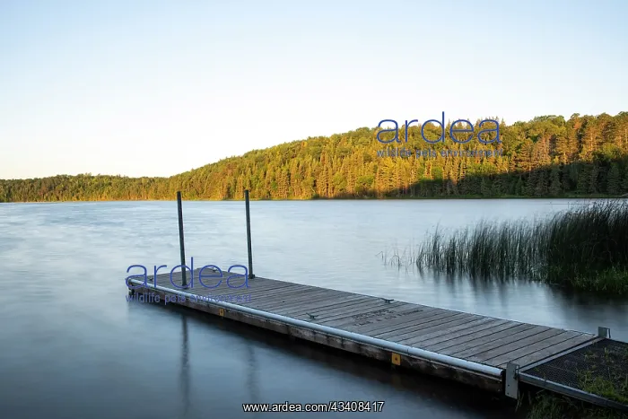 : USA, Minnesota, La Salle Lake State Recreation Area : USA, Minnesota, La Salle Lake State Recreation Area