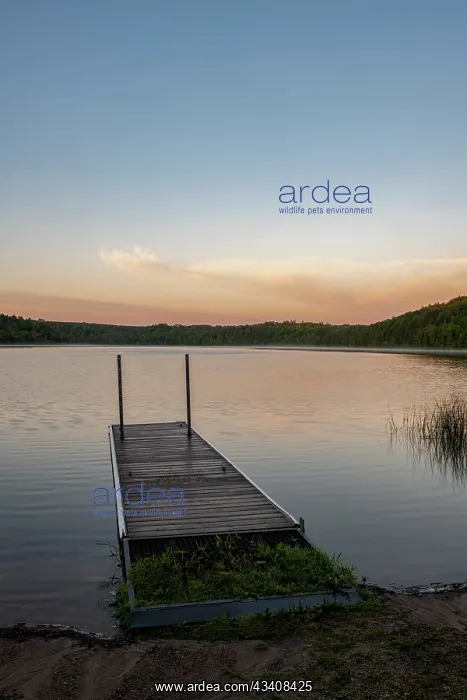 : USA, Minnesota, La Salle Lake State Recreation Area : USA, Minnesota, La Salle Lake State Recreation Area