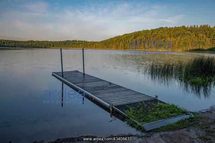 : USA, Minnesota, La Salle Lake State Recreation Area : USA, Minnesota, La Salle Lake State Recreation Area