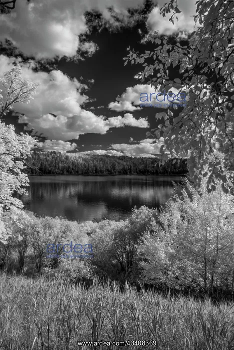 : USA, Minnesota, La Salle State Recreation area : USA, Minnesota, La Salle State Recreation area