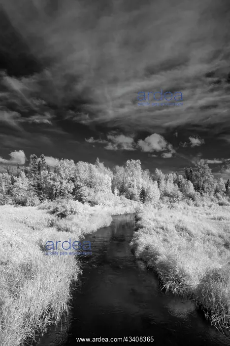 : USA, Minnesota, Mississippi River Headwaters region : USA, Minnesota, Mississippi River Headwaters region
