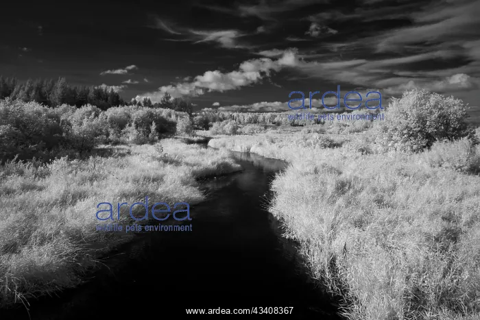: USA, Minnesota, Mississippi River Headwaters region : USA, Minnesota, Mississippi River Headwaters region