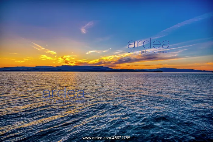 : USA, Montana, Flathead Lake. Lake at sunset. Credit as Fred : USA, Montana, Flathead Lake. Lake at sunset. Credit as Fred