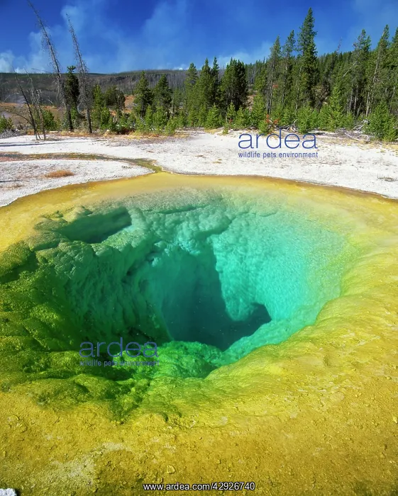 : USA - Morning glory pool, Upper Geyser basin : USA - Morning glory pool, Upper Geyser basin