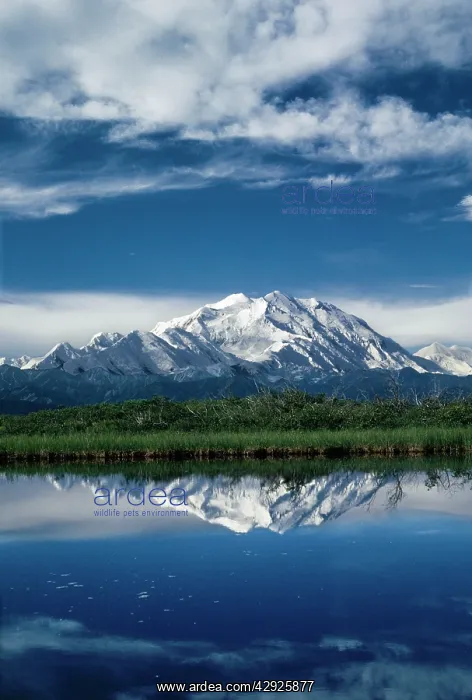 : USA - Mount McKinley from reflection pond : USA - Mount McKinley from reflection pond