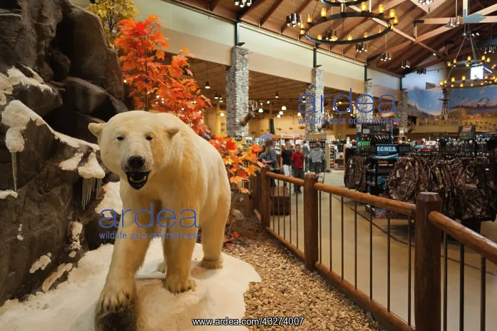 : USA, Nebraska, Omaha, stuffed animal display : USA, Nebraska, Omaha, stuffed animal display