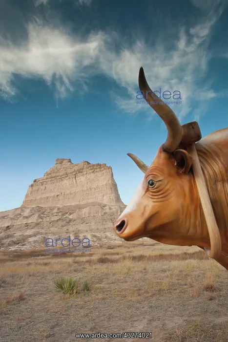: USA, Nebraska, Scottsbluff, Scotts Bluff : USA, Nebraska, Scottsbluff, Scotts Bluff