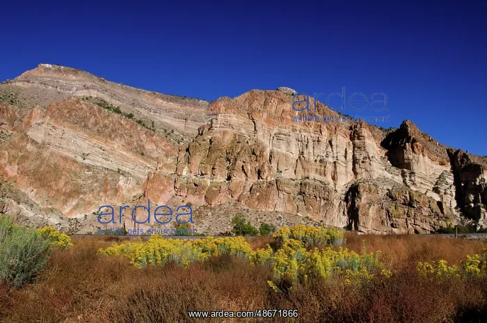  : USA, Nevada, Caliente. Rainbow Canyon
